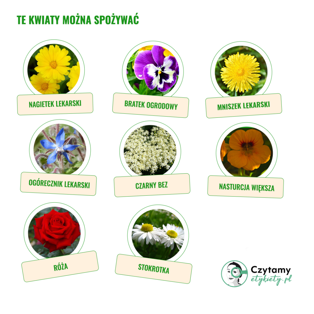 Czy kwiaty można... jeść? 3 kwiaty1 1