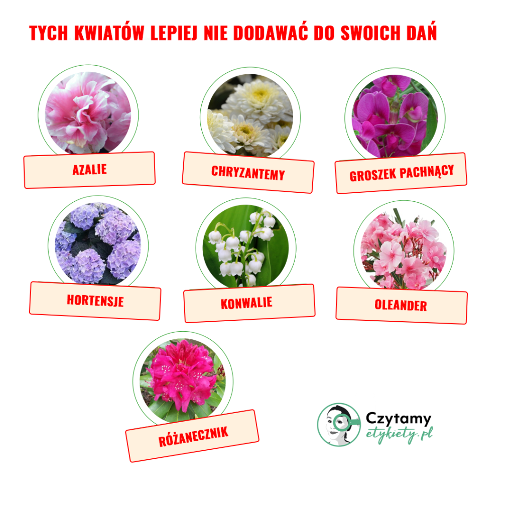 Czy kwiaty można... jeść? 2 kwiaty2 1