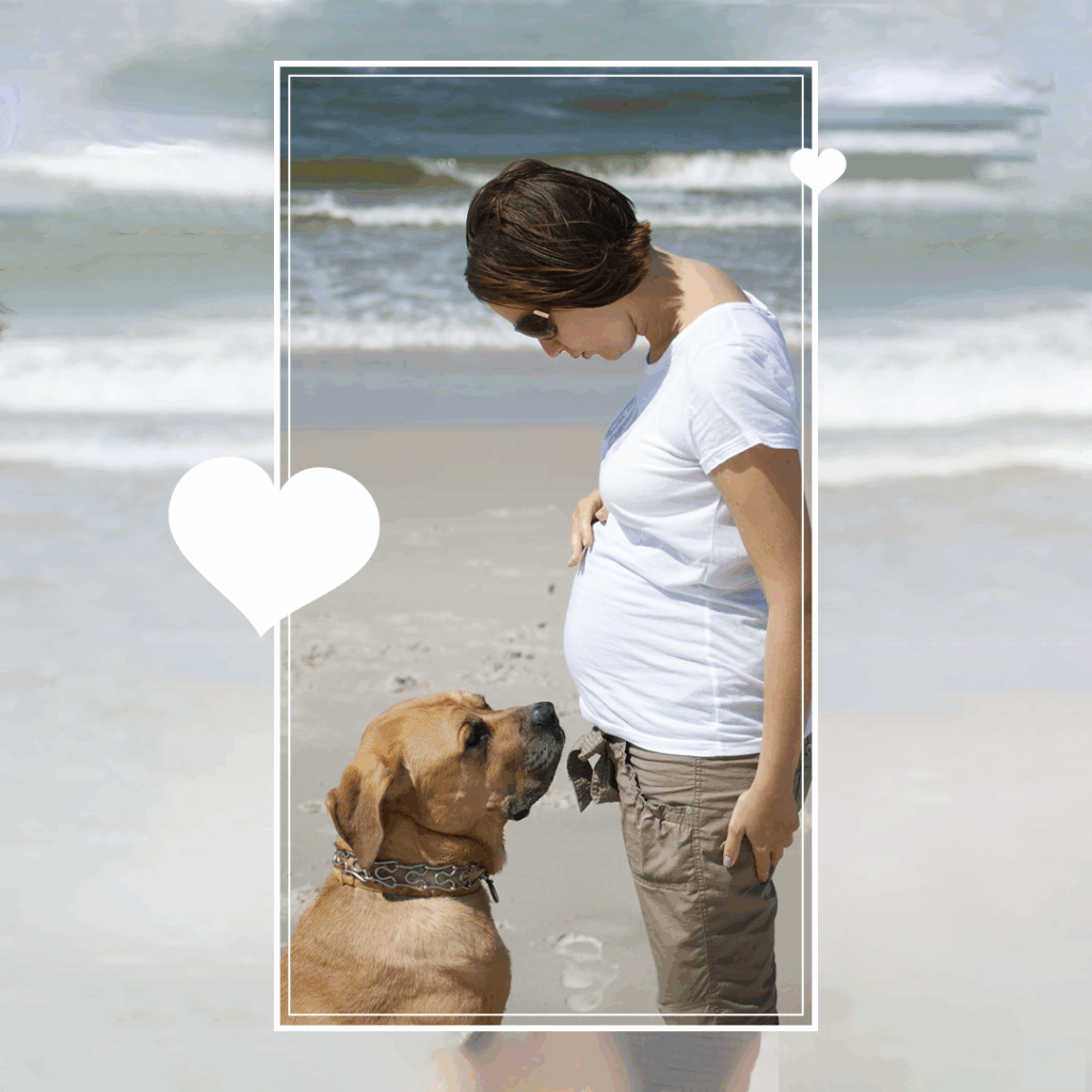 Jak przygotować się do ciąży - dieta 6 zdjeciedieta2