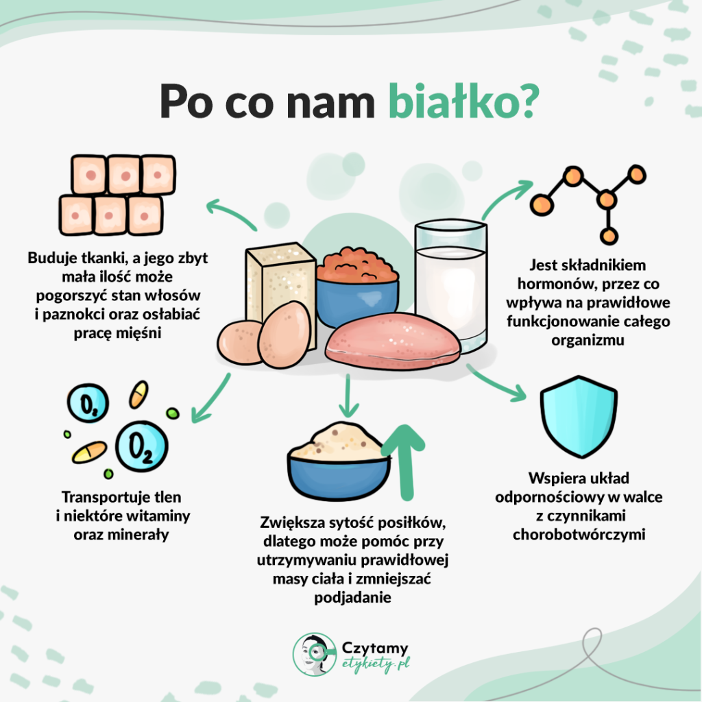 Wszystko, co warto wiedzieć o białku 3 bialko3