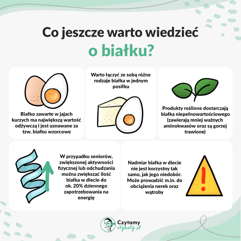 Wszystko, co warto wiedzieć o białku 4 bialko4