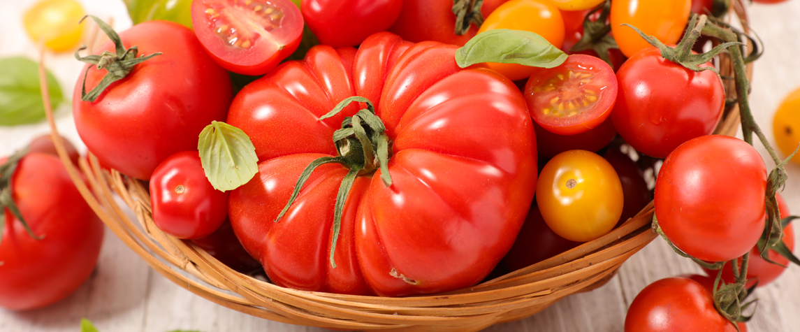właściwości pomidorów