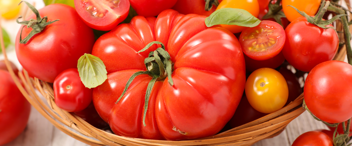 właściwości pomidorów