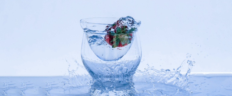 Rola wody w organizmie