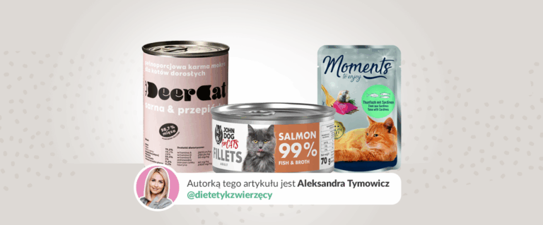 Jak wybrać karmę dla kota?