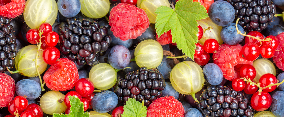 Sezonowe warzywa i owoce w sierpniu