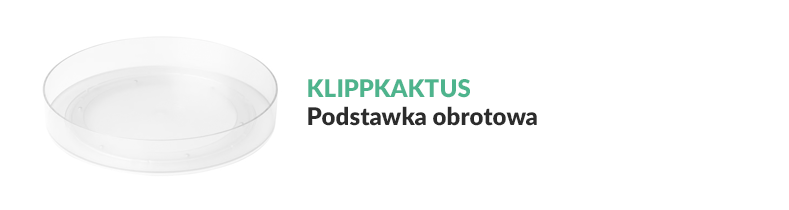 klippkaktus2