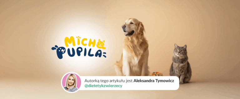 Rewolucja w żywieniu psów i kotów – poznaj Michę Pupila!