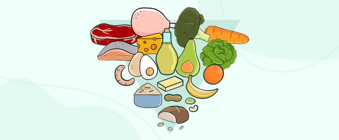 Piramida żywienia w USA