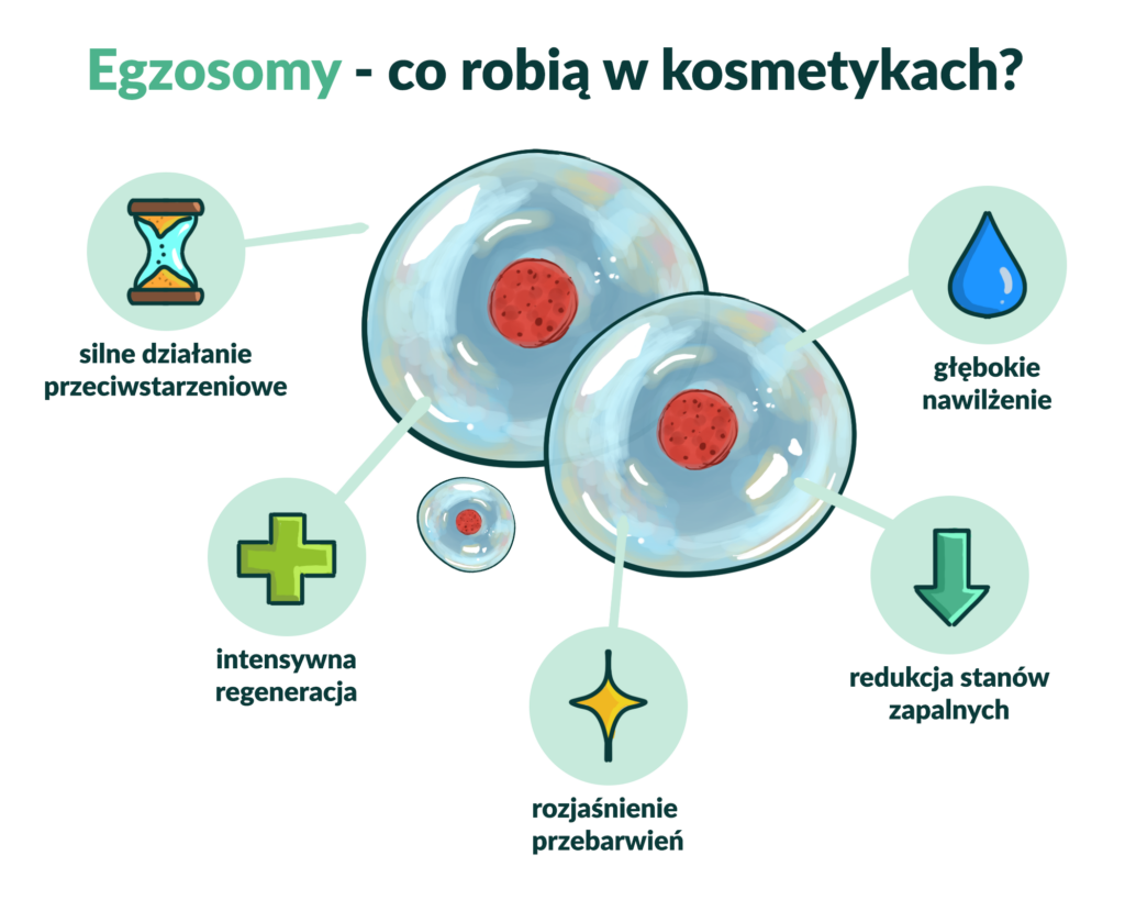 egzosomy